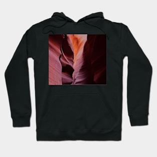 850_3712 Hoodie